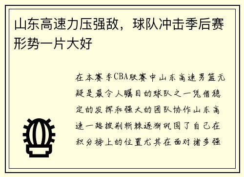山东高速力压强敌，球队冲击季后赛形势一片大好